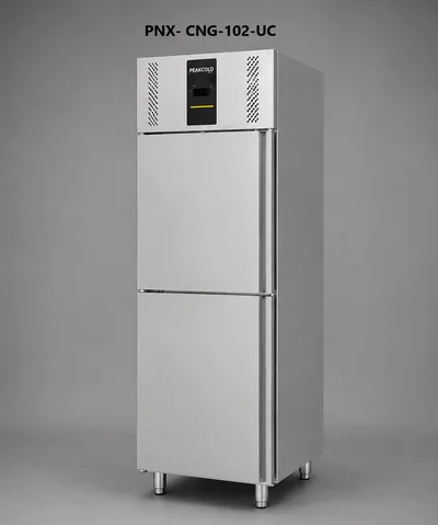 Upright Single Door Gastronorm Freezer (PNX-CNG-100 Series)