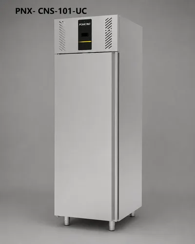 Upright Single Door Snack Freezer (PNX-CNS-100 Series)